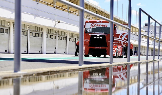 仅巩固了他 仅巩固了他