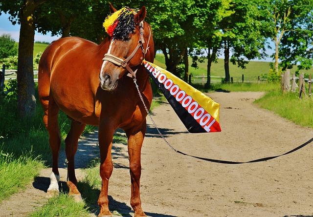 略部署闻名 略部署闻名